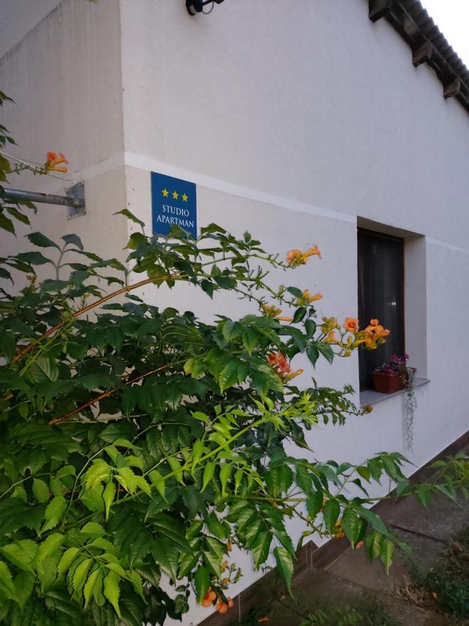 Studio Apartman Kotro Beli Manastir 외부 사진