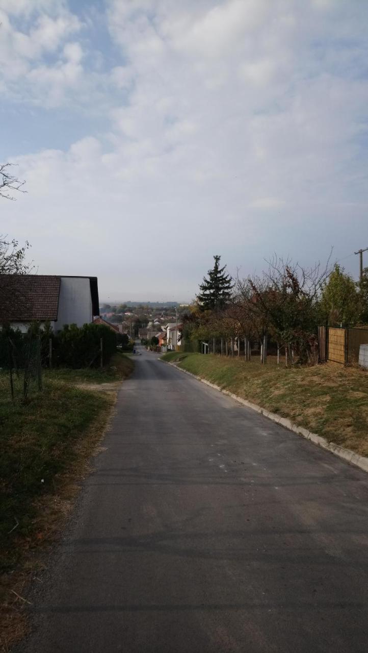 Studio Apartman Kotro Beli Manastir 외부 사진